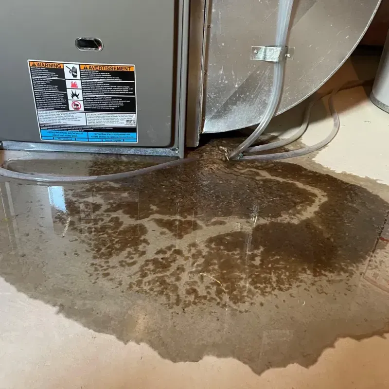 Appliance Leak Cleanup in Dorchester County, SC